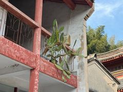 -阿育王寺