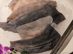 -二荆条·蜀鲜汇城市森林火锅