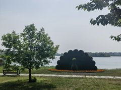 -武清南湖绿博园