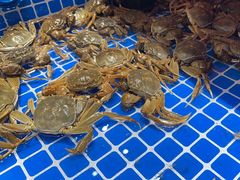 -亚马逊海鲜自助(梅溪湖步步高店)