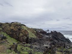 -涉地可支