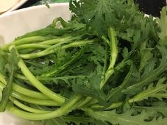 -老诚一锅·羊蝎子(广渠门外店)
