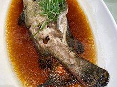清蒸石斑鱼-金时代顺风大酒店(临港百联店)
