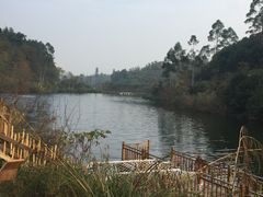 -黄龙溪欢乐田园