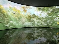 -中国湿地博物馆