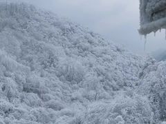 -秦岭风景区