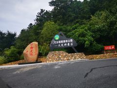 -江南天池