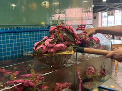 -辣螃铠盆盆蟹大排档(总店)