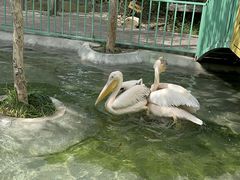 -水上乐园·欢乐世界