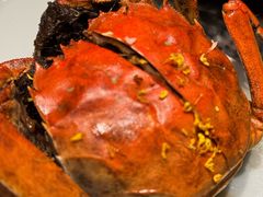 -南京大牌档(中关村领展广场店)