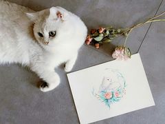 -信马画室 成人零基础到个人创作画室(亚运村店)
