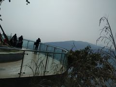 景点-铁山坪森林公园