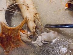 鲜人参锅底-千岛蚝高压锅生蚝·人参火锅(白云万达店)