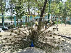 -水上乐园·欢乐世界