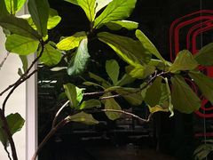 -HERB SPICE(来凤街店)