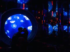 -成都浩海立方海洋公园