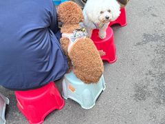 -小罗子汤店(大士院总店)