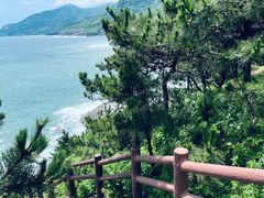 -灵山岛风景区