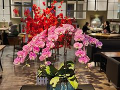 -JINNS锦时 steak&pizza(浸信会礼拜堂旧址店)
