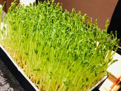 -煲宫猪肚鸡(昆山金鹰国际购物中心店)