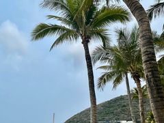 -三亚太阳湾柏悦酒店