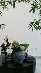点击看大图 -翎兰瑜伽·普拉提