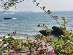 -涠洲岛火山国家地质公园