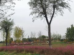 -汉长安城未央宫国家考古遗址公园