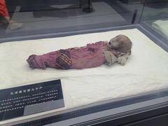 -巴音郭楞蒙古自治州博物馆