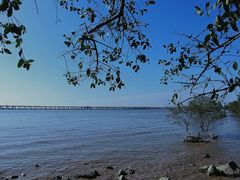 -宝安西湾红树林湿地公园