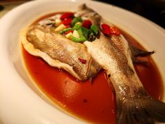 -绿茶餐厅(广州天河城店)