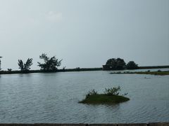 -北海金海湾红树林生态旅游区