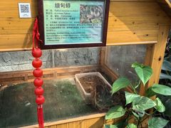 -上海大自然野生昆虫馆(东方明珠·爬宠昆虫探索中心)