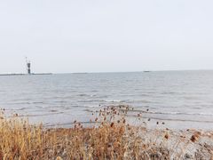 -上海吴淞炮台湾国家湿地公园
