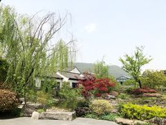 -春色如许·茶食餐厅(桃李春风店)