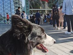 -星巴克(三亚海棠湾国际免税城店)