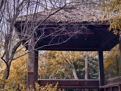 -上海吴淞炮台湾国家湿地公园