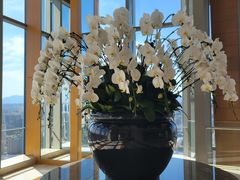 -视界美食自助餐厅·石家庄希尔顿酒店