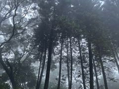 -广州市白云山风景名胜区