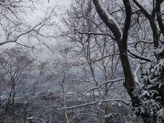 -紫金山天文台