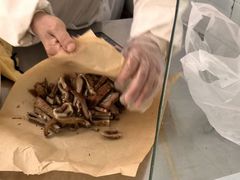 -上海牛羊肉公司塘沽路清真门市部