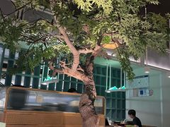 -绿茶餐厅(广州天河城店)