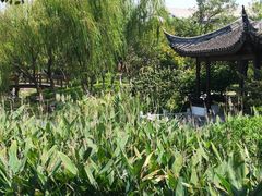 -苏州独墅湖世尊酒店