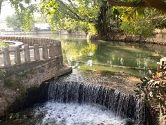 -荔枝公园(福田区)
