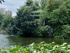 -荔湾湖公园