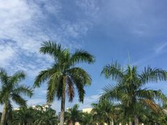 -惠州惠阳丽景国际花园酒店(市政广场店)