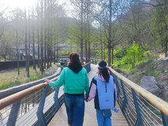 -白水寺森林公园