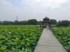 -梁鸿国家湿地公园