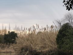 -沙家浜风景区