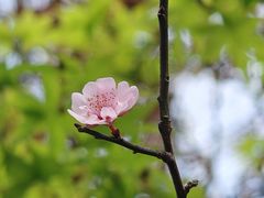 -乌山风景区